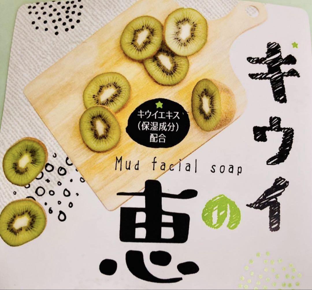 Mud Facial Soap - Kiwi Clay Facial Cleansing Foam | 110g