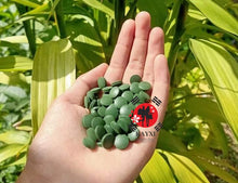 [JAPAN ALGAE] Spirulina 100% Japanese Algae 2300 Tablets