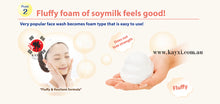 [SANA NAMERAKA] Honpo Soymilk Isoflavone Cleansing Wash Face Foam Light Type 150g