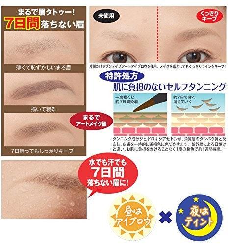 [SEVEN DAYS ART] Eyebrow Tatoo Pencil for Night Use