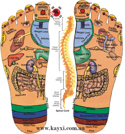 [TO PLAN] Foot Detox Pads  30 Sheets