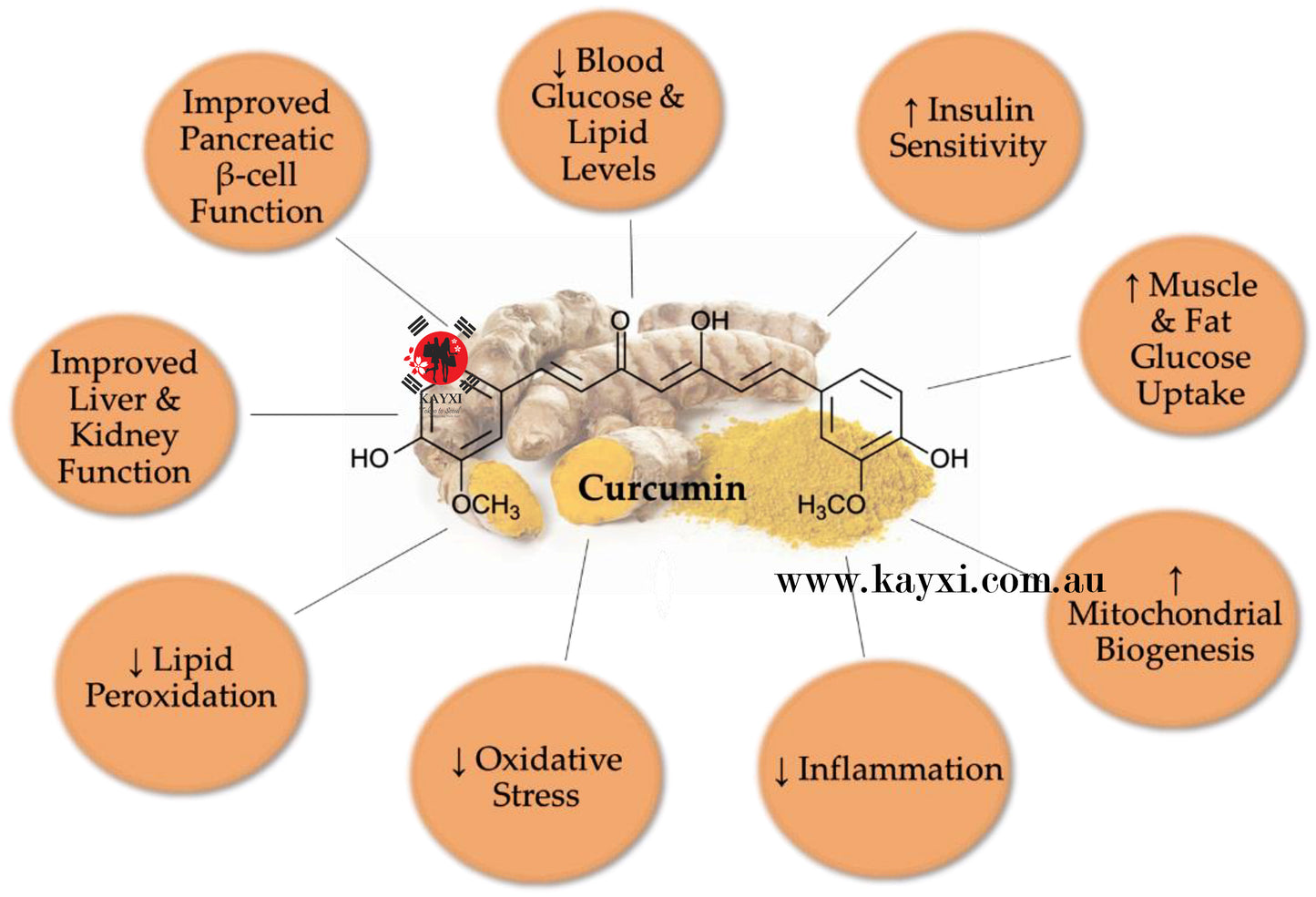 [K&P NANO] Korean 365 Nano Tech Curcumin Liquid Supplement 1 Box Of 3gx32 Tubes