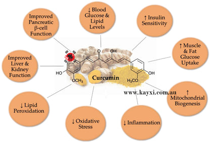 [K&P NANO] Korean 365 Nano Tech Curcumin Liquid Supplement 1 Box Of 3gx32 Tubes